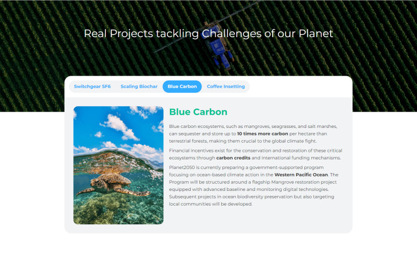Website design and development - Planet2050