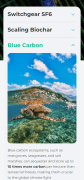 Website design and development - Planet2050